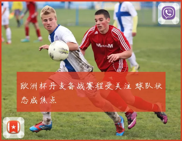 欧洲杯丹麦备战赛程受关注 球队状态成焦点
